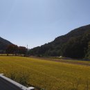 고향이동식당 이미지