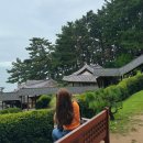 대천17-10 농로 | 충남 보령 죽도 상화원 시간 주차 대천 보령 가볼만한곳