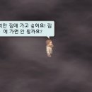 뉴팽글