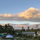 협재블리스 이미지