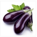 노곡농장 이미지