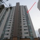 동백8로 이미지