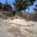 예원캠핑장 | [완주 캠핑장] 전주 근교 소양 반려견 동반 캠핑장 추천 완주 예원 캠핑장 후기