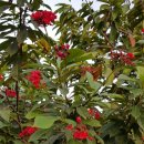 자유무역로 이미지