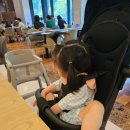 슈즈핸드워시 | 19개월 아기랑 여행 롯데리조트부여 클린 디럭스 패밀리트윈, 조식, 아쿠아가든 후기