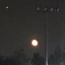 국수세탁소 이미지