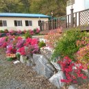 느티나무집 이미지