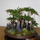 유달초등학교 이미지