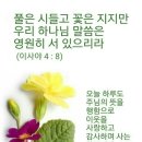 할렐루야기도원
