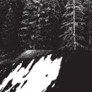 yes카서비스 이미지