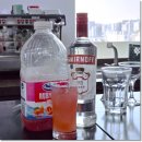 취업은 끝이 아닌 시작 | 은평구바리스타학원 바텐더 취업 가능한 자격증 후기 (feat.칵테일 종류)