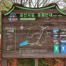 금산사길 이미지