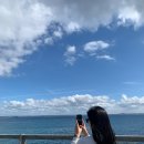 🇦🇺AUSTRALIA🇦🇺