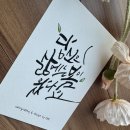 2025년 3월 붓펜 캘리그라피 챌린지 제작 후기 (부제 : ‘꽃은 조용히 핀다. ’)