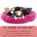 맘스아이스