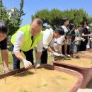 전주동초등학교 이미지