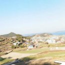 설천면051 Daum카페