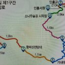 비슬산둘레길 1구간 이미지