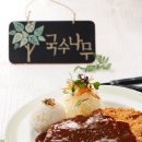 국수나무 이미지