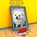 BOB영등포점 이미지