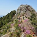 편백향기 이미지