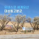 대성동고분박물관(옥상1) | 유네스코 세계유산인 김해 대성동고분군부터 박물관까지