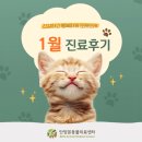 최동물병원 | 안양본동물의료센터 1월 진료후기, 평촌24시동물병원