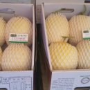 수신농장 이미지