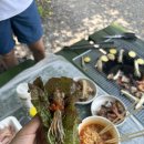 율림동산 네이버블로그