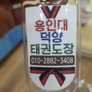 용인대 명품 태권도장 이미지