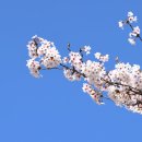 안성컨트리클럽 이미지