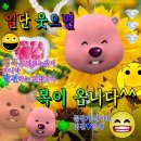 삼성 부동산중개인사무소 | 이사란 무엇인가 : 이사 체크리스트 부산 아정당 이사후기 + 삼성가전이전설치