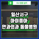 유림동물안과병원 | 고양시 일산서구 아이좋아 안과외과 동물병원 - 큐레이들 설치 후기