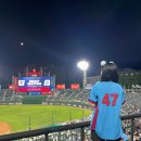 142 | 사직야구장⚾ 1루 내야상단석 142블럭 12열 후기