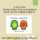 베이비북어린이서점
