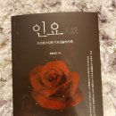 몽돌바당 이미지