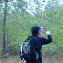 에벤에셀 축사 | 4/24(火) 여수지맥셋째구간(국사봉-수암산-황새봉)