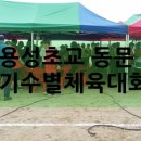 용성초교 이미지