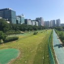 국제파크골프용품