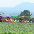 박지호농장 연합뉴스