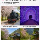 침곡역 | 🌸 이런 곳이 있었다고? 한국 숨은 여행지 3선 + 2025년 봄 생생 후기