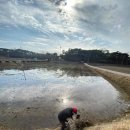 농부의아침영농조합법인 이미지