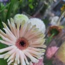 불정로376번길 이미지