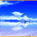 빛과 소금 이미지