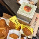 대전여행 빵투어 🍞 또간집 하레하레, 성심당, 샌드위치정거장까지 빵지순례 후기(ft. 성심당 빵장고)