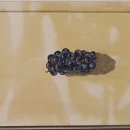 문화예술회관1 이미지