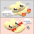 창신대학교 | 2024 조주기능사 실기 시험 후기 (창신대학교 실기)