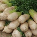 장미찻집 이미지