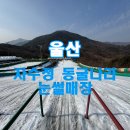 김밥나라 아동점 | 울산 언양 자수정 동굴 나라 눈썰매장 빙어체험 / 부산근교 /아이와 가볼 만한 곳