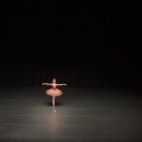 베드로목장2 이미지